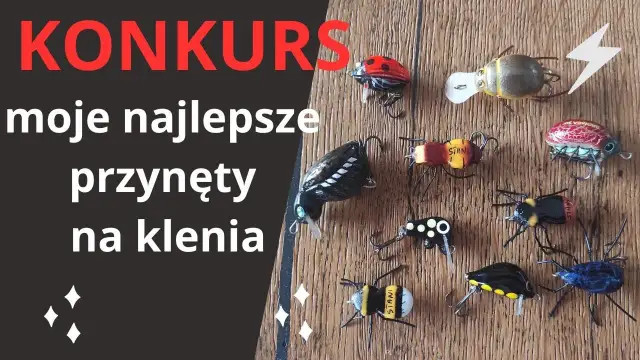 Najlepsze przynęty kleniowe: jak złapać klenie w każdych warunkach