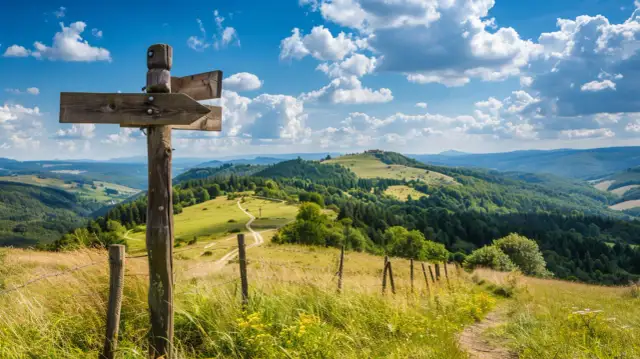 Co można zwiedzić na Podkarpaciu? 8 ukrytych perełek regionu