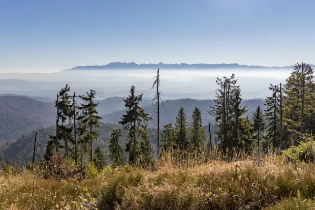 Jaki szlak na Turbacz? Odkryj najlepsze trasy i ich trudność