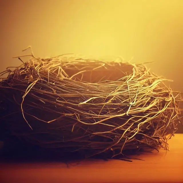 Syndrom wicia gniazda: kiedy zaczyna się przed porodem i jak się przygotować