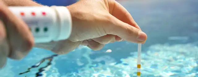 Jak zmiękczyć wodę w akwarium i uniknąć problemów z rybami