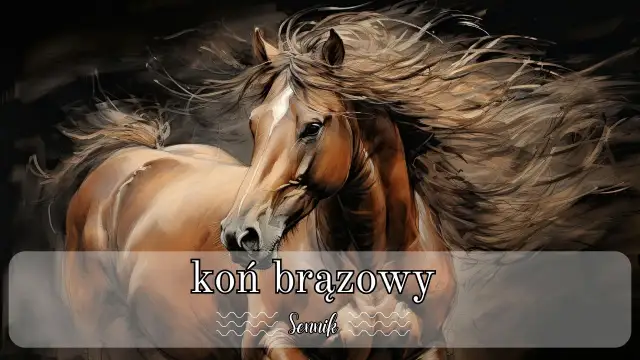Sennik koń brązowy – znaczenie snu o brązowym koniu