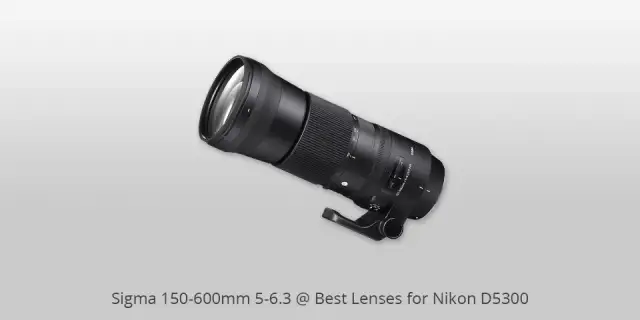 Najlepszy obiektyw do Nikon D5300: Jak wybrać idealny do Twoich potrzeb fotograficznych