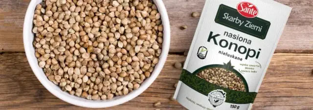Nasiona konopi siewnej – odkryj ich niezwykłe korzyści zdrowotne