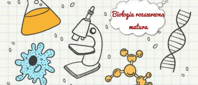 Czy rozszerzona biologia jest trudna? Sprawdź, jak sobie z nią poradzić na maturze