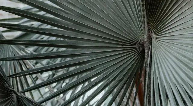 Po co andodować profile aluminiowe?