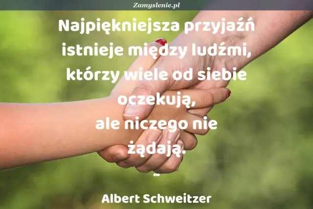 Cytaty o przyjaźni: co to jest prawdziwa przyjaźń i jej znaczenie