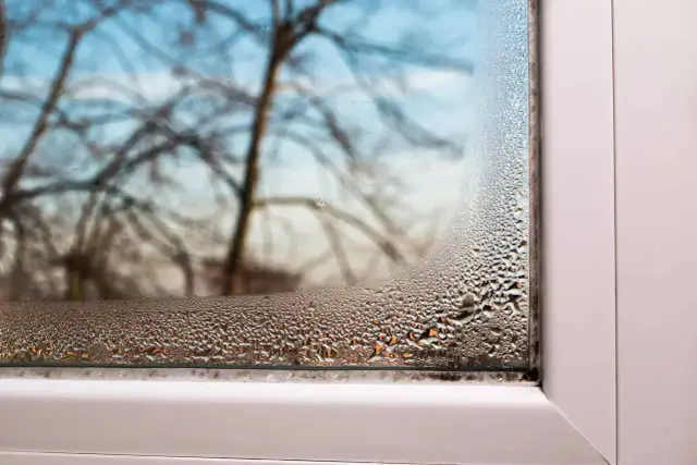 Skuteczne sposoby jak usunąć pleśń z uszczelki okna: poradnik eksperta