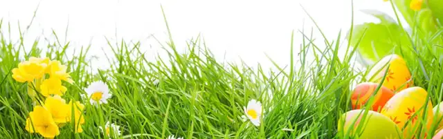 Jakie przekąski na wielkanoc? Smaczne pomysły, które zaskoczą gości