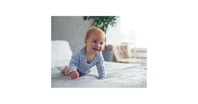 Co je 8 miesięczne dziecko? Sprawdź, co powinno jeść!