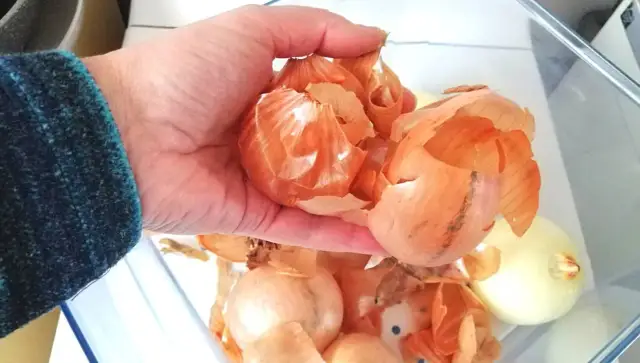 Jak zrobić nawóz z cebuli, aby Twoje rośliny rosły zdrowo i silnie