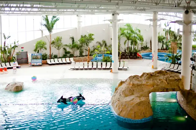 Ile kosztuje bilet na Termy Maltańskie? Aktualne ceny 2023