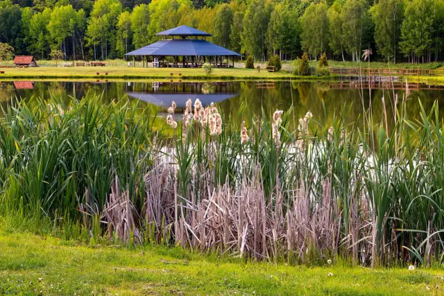 Łowisko Robinson: Idealne miejsce na wędkowanie w Warmii i Mazurach
