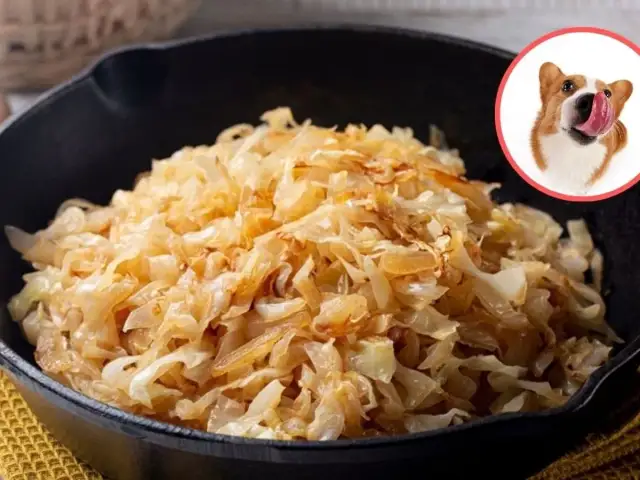 Czy pies może jeść kapustę? Poznaj bezpieczne porcje i formy podawania