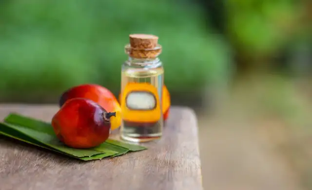 Czy olej palmowy jest wegański? Etyczne dylematy i alternatywy