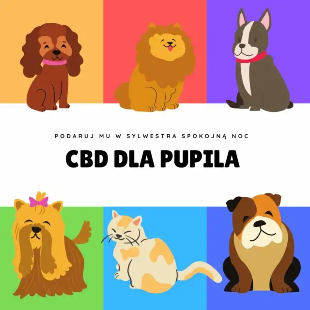 Jak uspokoić szczeniaka w nocy i uniknąć jego płaczu