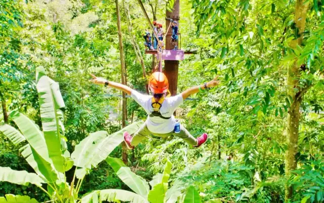 Park linowy tyrolka – emocjonujące atrakcje i bezpieczeństwo w naturze