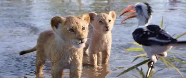 Król Lew w kinach w Polsce – data premiery i najważniejsze informacje