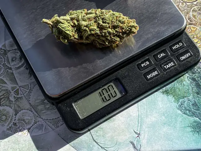 Jak wygląda 1g marihuany? Zaskakujące szczegóły i porównania