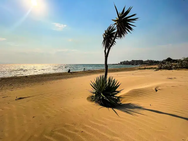Najlepsze atrakcje w Artemidzie Grecja, które musisz zobaczyć