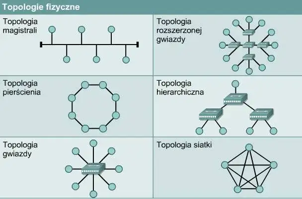 Co to jest topologia sieci? Kluczowe informacje i przykłady