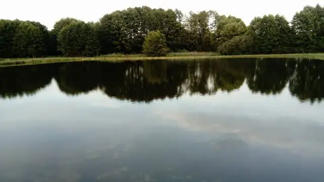 Łowisko u Ani - idealne miejsce na relaksujące wędkowanie bez licencji