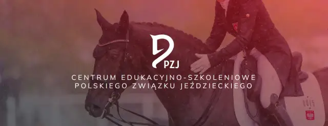 Akademia jeździectwa: Jak wybrać najlepsze kursy i warsztaty?