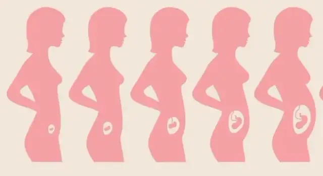 Co to jest trymestr w ciąży i jak wpływa na rozwój dziecka