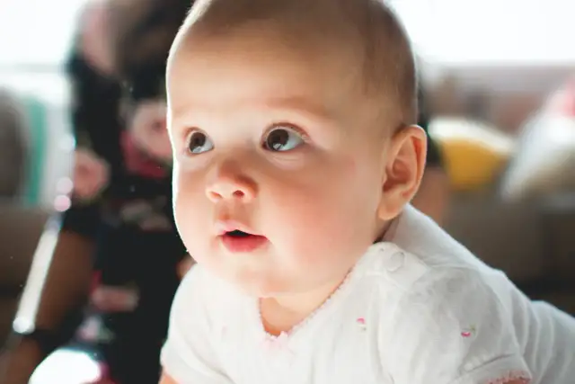 Ile dzieci ma Hołownia? Zaskakujące fakty o jego rodzinie