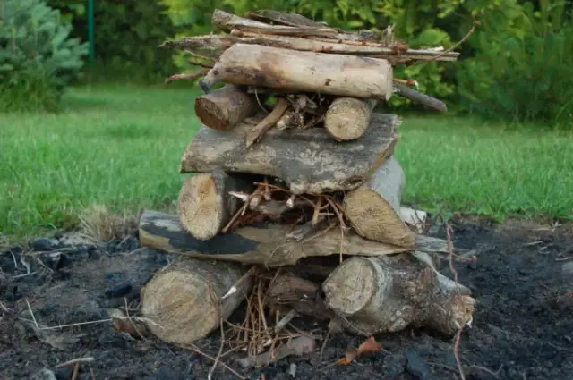 Jakie drewno na ognisko wybrać? Najlepsze rodzaje i praktyczne porady