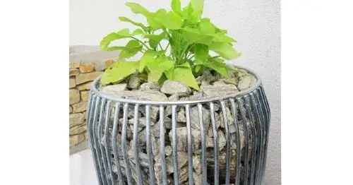 Jak zrobić donicę gabionową - proste kroki do efektownego ogrodu