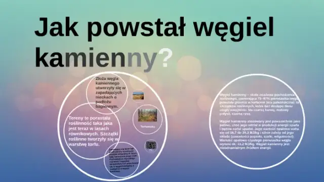 Jak powstał węgiel kamienny? Proces, warunki i tajemnice geologicznej historii