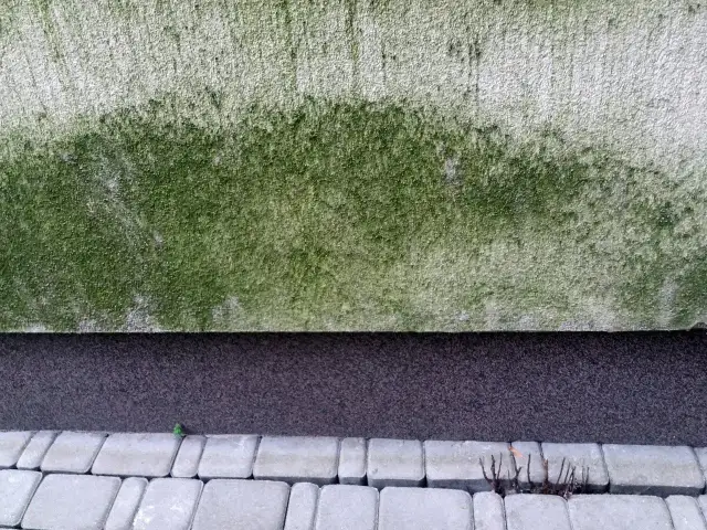 Jak skutecznie zmyć glony z elewacji? Sprawdzone metody i porady