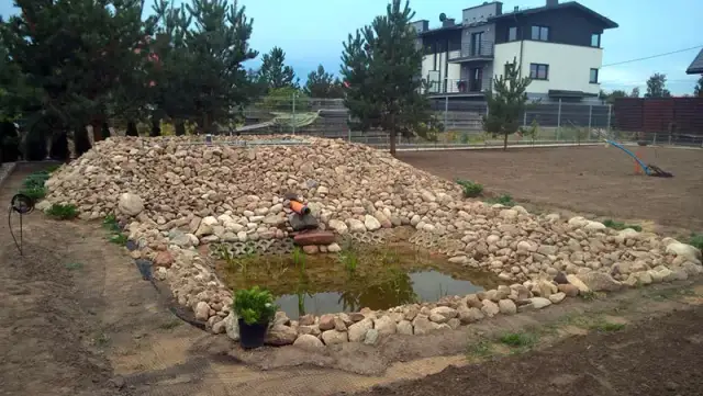 Oczyszczalnie roślinne: jak działają i dlaczego są tak skuteczne w 2025