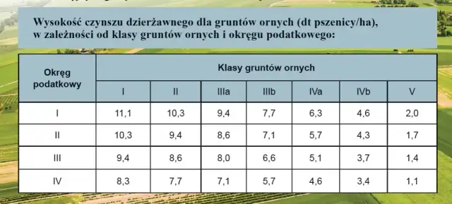 Czynsz dzierżawny – co to jest i jak uniknąć problemów prawnych?