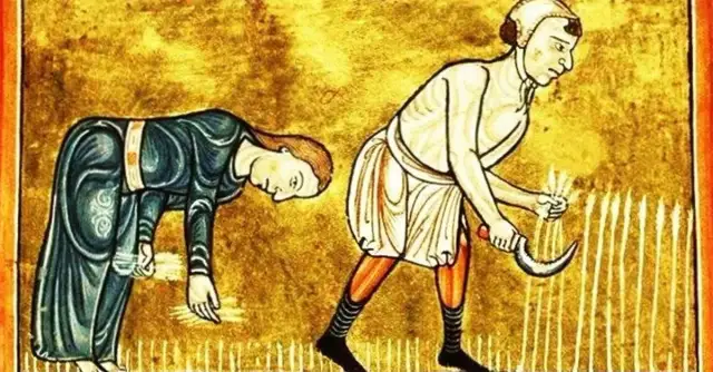 Czym zajmowali się chłopi w średniowieczu? Odkryj ich trudne życie