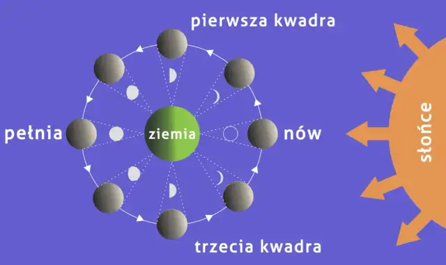 Odrobaczanie w jakiej fazie księżyca: odkryj skuteczne metody działania