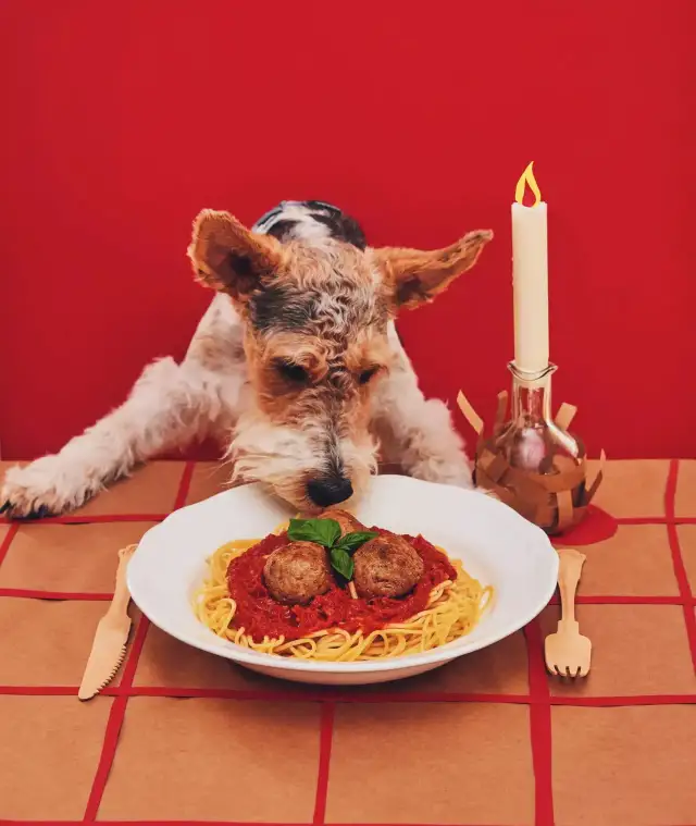 Przepisy filmowe: Jak gotować jak bohaterowie kina?