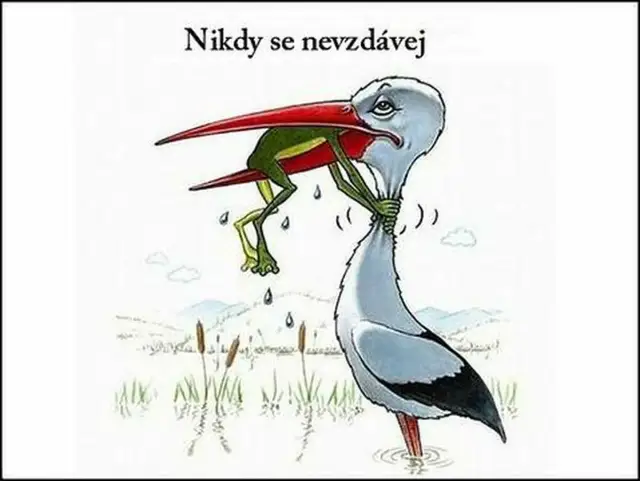 Memy nigdy się nie poddawaj – inspiracja i motywacja w obrazkach