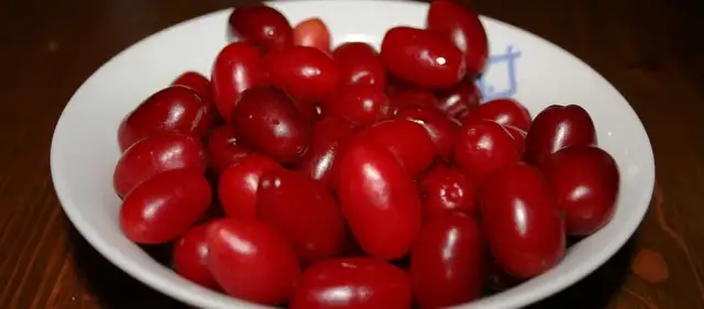 Nalewka z derenia na co pomaga - poznaj jej niezwykłe właściwości zdrowotne