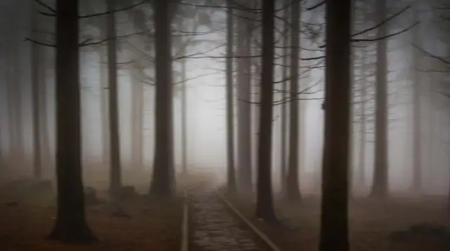 Puls horror: porównanie japońskiego oryginału i amerykańskiego remake'u