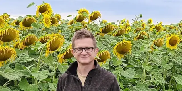 Gdzie sprzedać kwiaty słonecznika i zarobić więcej pieniędzy?