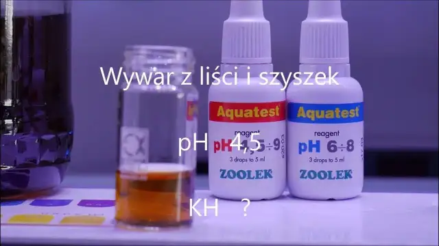 Jak obniżyć KH w akwarium i poprawić zdrowie ryb bez stresu