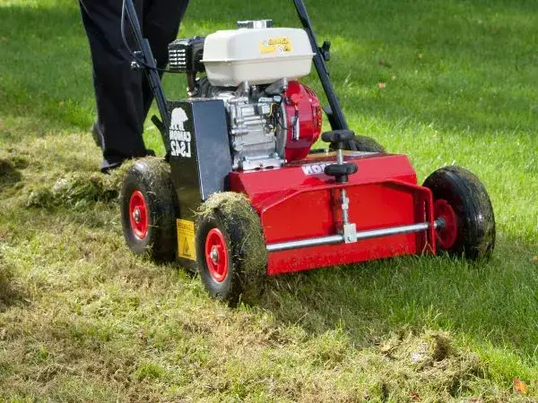 Kiedy najlepiej robić wertykulację trawnika? Uniknij błędów i zadbaj o trawnik!