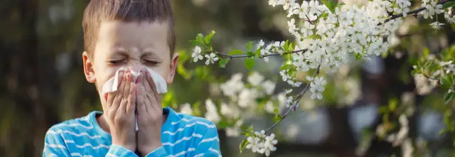 Czy testy alergiczne są na NFZ? Sprawdź, co musisz wiedzieć