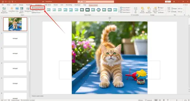 Jak przyciąć obraz w PowerPoint i uniknąć utraty jakości