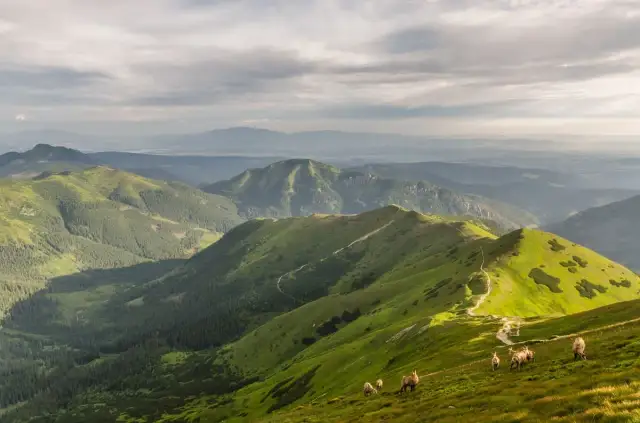 Szczawnica jakie góry – odkryj najpiękniejsze szczyty i trasy