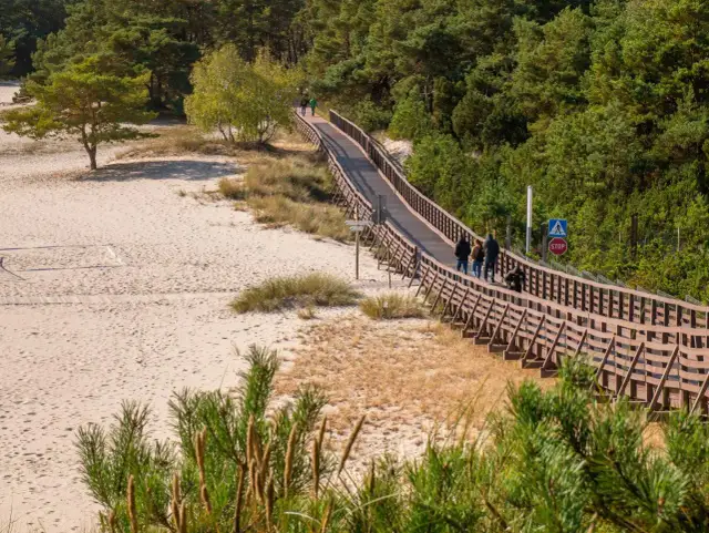 Atrakcje Dźwirzyna i okolic - co warto zobaczyć? Sprawdź gotowe trasy