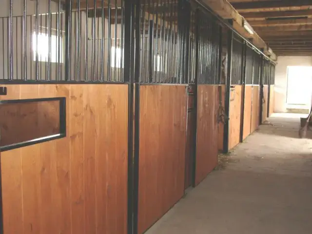 Stadnina koni Starachowice - wyjątkowe jazdy konne i agroturystyka