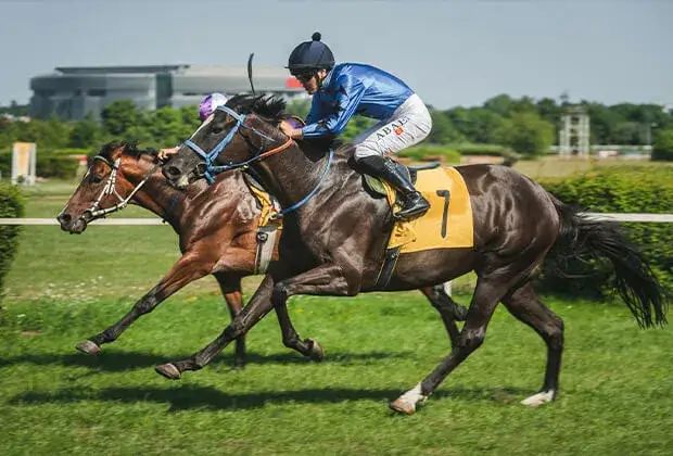 Zakłady na wyścigi konne vs kasyno online, gdzie bardziej opłaca się grać?